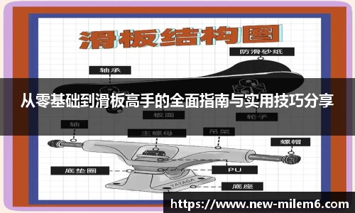 米乐m6官网